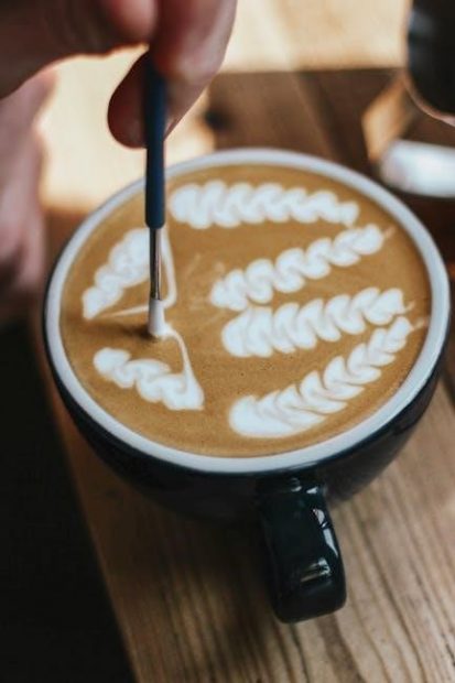 barista express manual