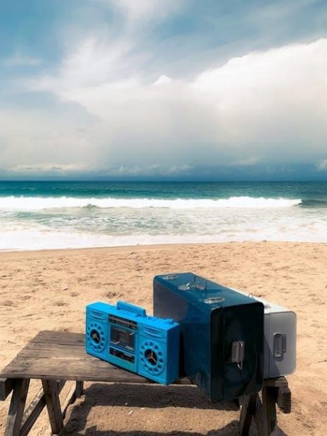 shark flex breeze manual