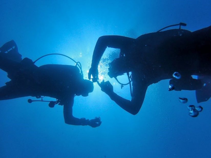 padi open water manual pdf